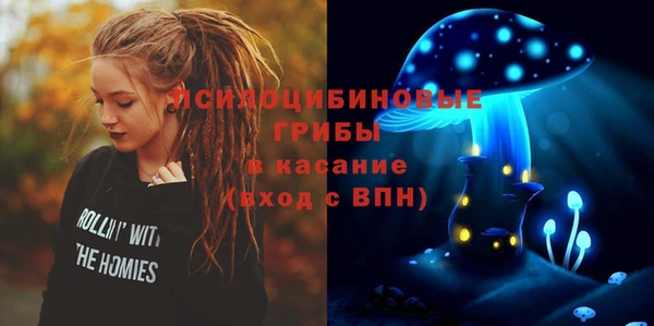 молекула духа Вязники