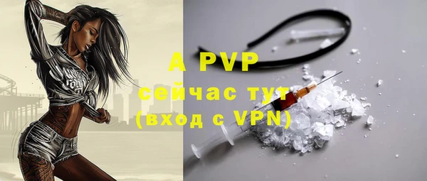 тгк Володарск