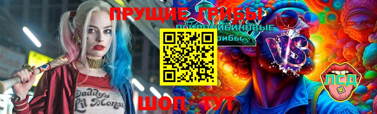 Галлюциногенные грибы прущие грибы  Псилоцибиновые грибы прущие грибы  наркошоп  Вход с VPN  Славянск-на-Кубани 