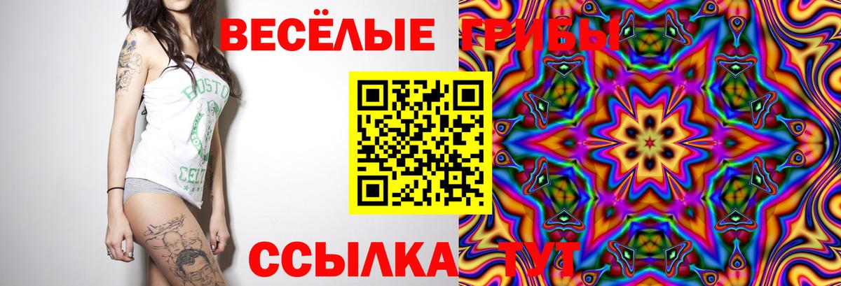 Псилоцибиновые грибы Cubensis Славянск-на-Кубани